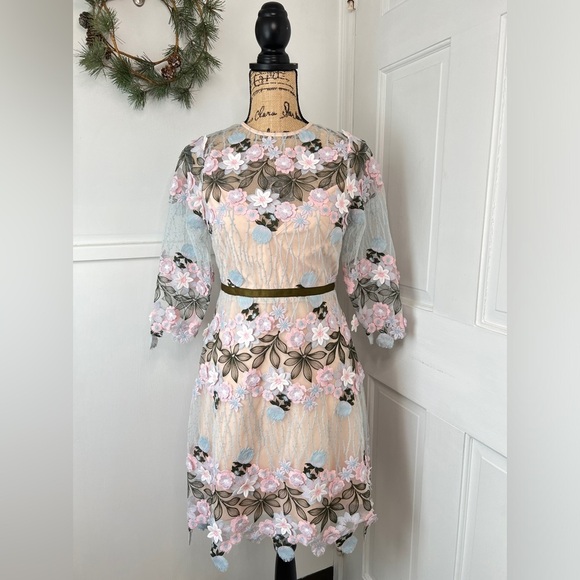 foxiedox Dresses & Skirts - Anthropologie Foxiedox Floral Appliqué Fit and Flare Mini Dress